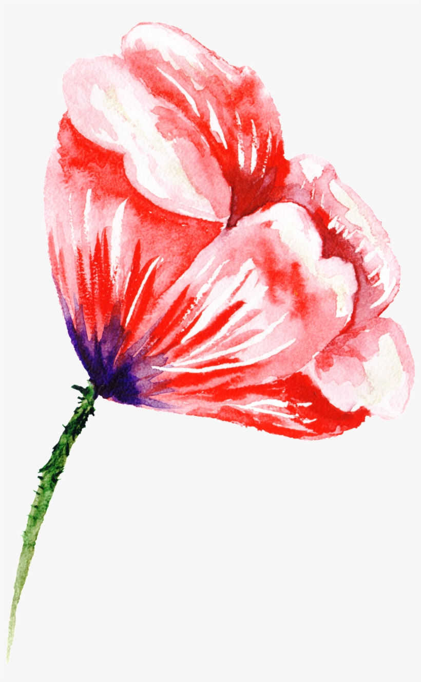 Stock Photography, transparent png #1243626