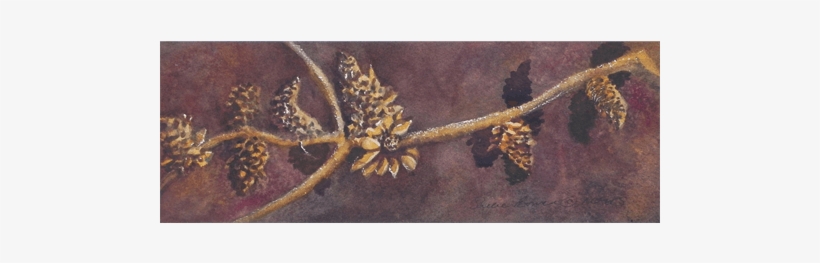 Hanging On, Landscapes Of The West - Motif, transparent png #1243648