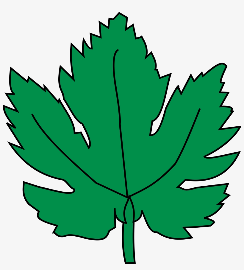 Open - Hoja De La Parra, transparent png #1243734