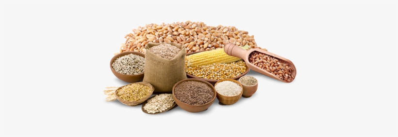 Grain Png Hd - Food To Live Organic Wheat Berries (50 Pounds), transparent png #1243757