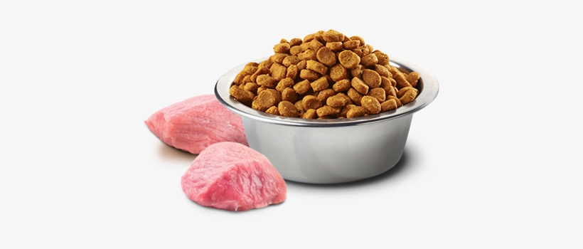 n&d ancestral grain canine