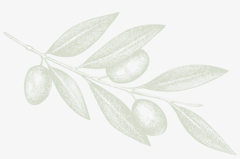 Molino De Olivas De Bolea - Garden Of The Gods [book], transparent png #1244420