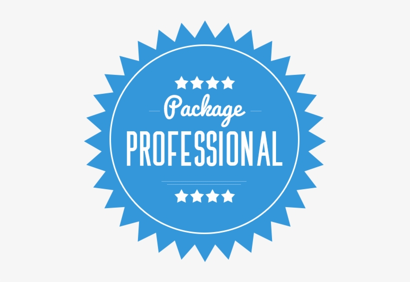 Professional Package $459 - Professional Package, transparent png #1244620
