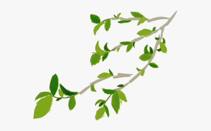 After I Finished The Model I Started Making An Original - Twig, transparent png #1244798