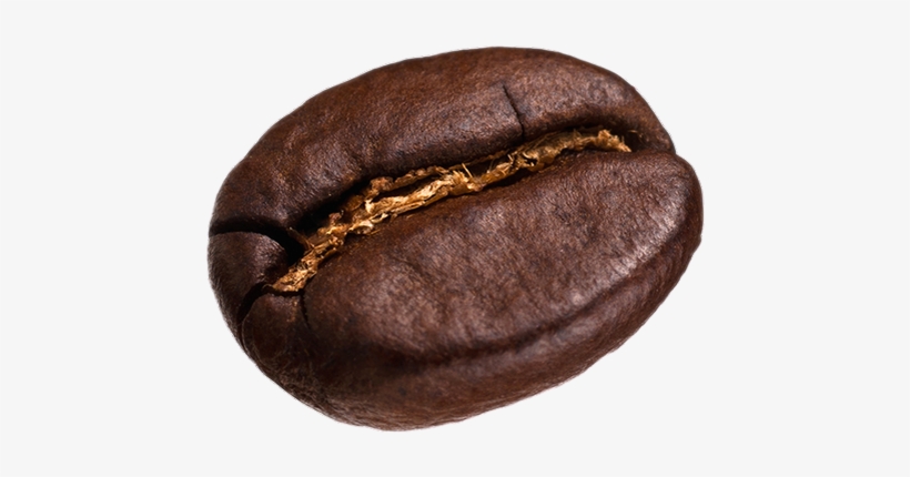 Grains De Caf Png Free Transparent PNG Download PNGkey