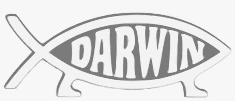 Basics Of Evolution For Christians - Darwin Fish Legs, transparent png #1244894