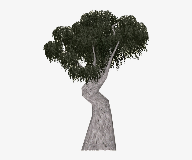 Gum Tree Png - Snow Gum Tree Png, transparent png #1245161