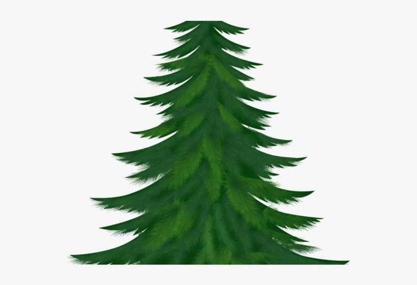 Pine Clipart Snow Tree - Fir Trees Clip Art, transparent png #1245486