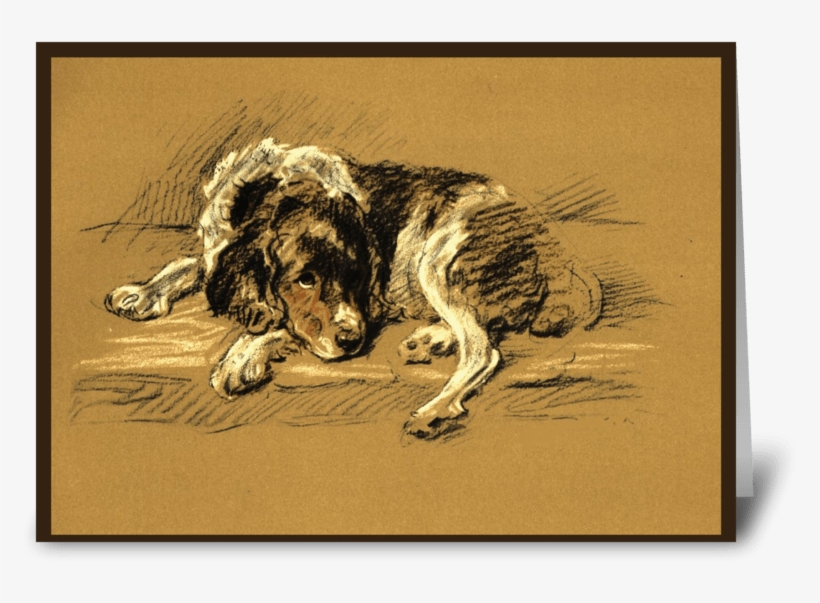 Sad, Dog Sympathy Greeting Card - Pet Sympathy Sad Dog Beautiful Illustration, Comfort, transparent png #1245515