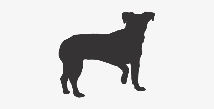 I'm Sad - Floppy Dog Ear Silhouette, transparent png #1245519