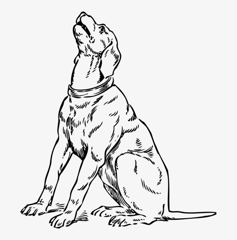 Dog Sitting Drawing At Getdrawings - Dog Looking Up Drawing, transparent png #1245628