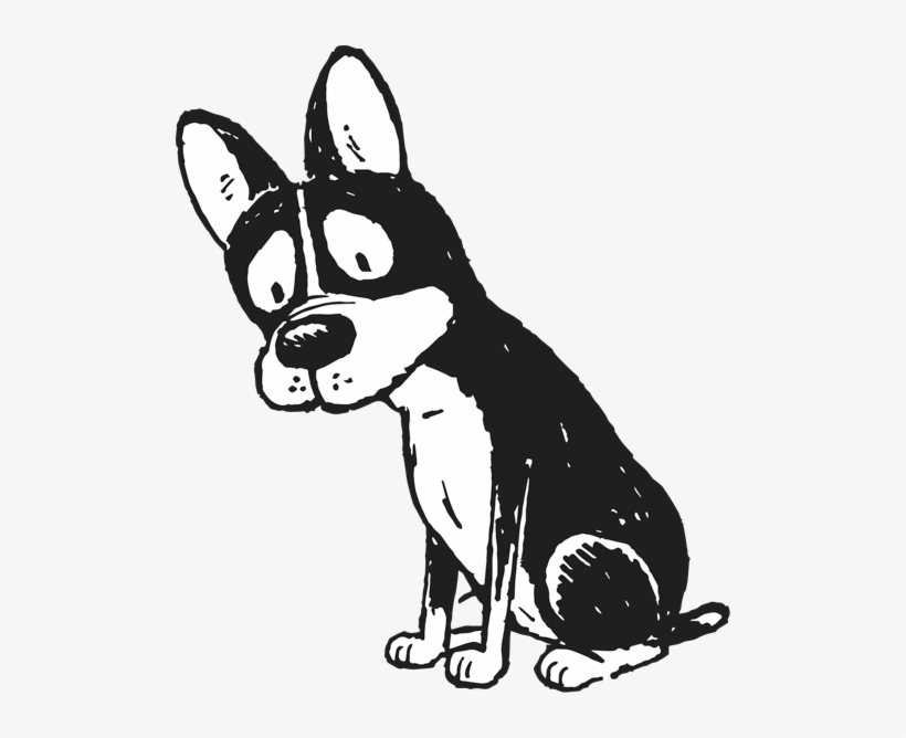 Hot Damn We're Fresh Out - Boston Terrier, transparent png #1245629