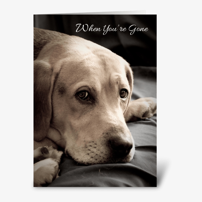 Missing You Sad Dog Greeting Card - Dog, transparent png #1245709