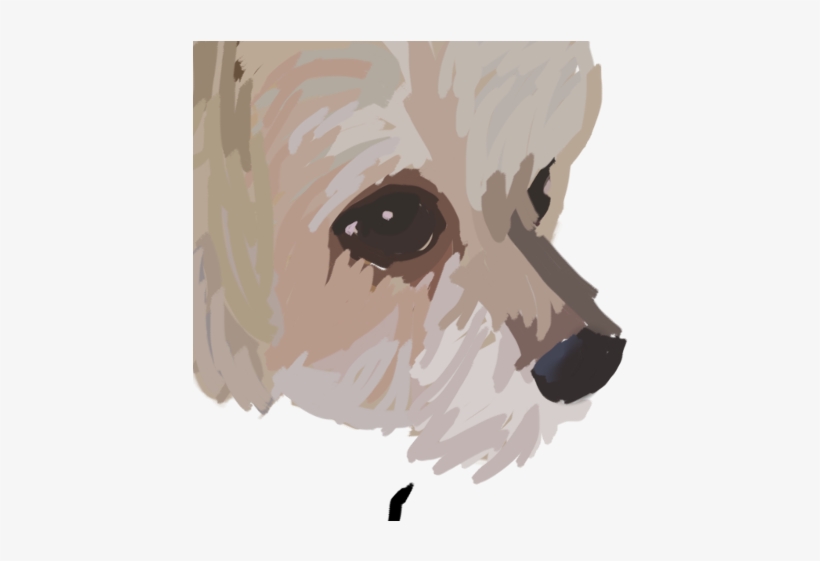 Pug, transparent png #1245741