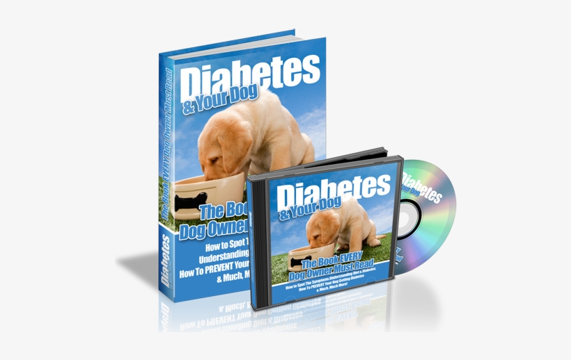 Diabetes Your Dog - Natiruts Reggae Power (sambaton), transparent png #1245854