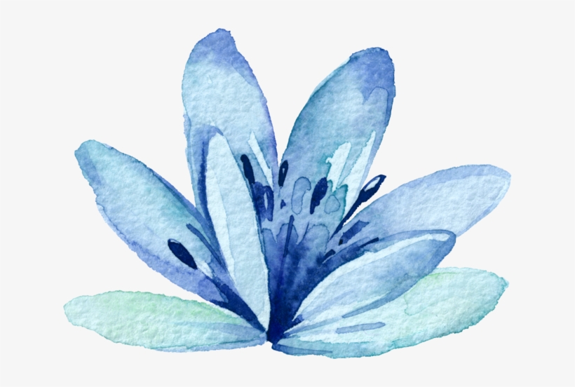 Report Abuse - Printable Watercolor Botanical, transparent png #1245929