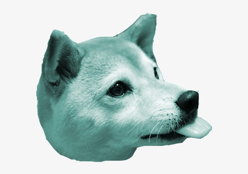 Today Is The Longest Day And, Because That Means Extra - Dog, transparent png #1245988