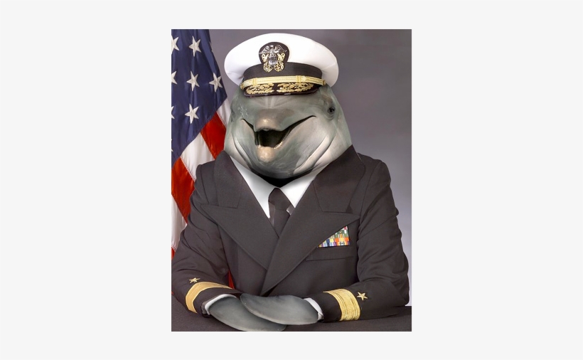 Fishlick 425pxsq Zpsyd7otagj - Admiral Dolphin, transparent png #1246086