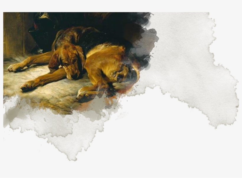 Stray - Sleeping Bloodhound, transparent png #1246116