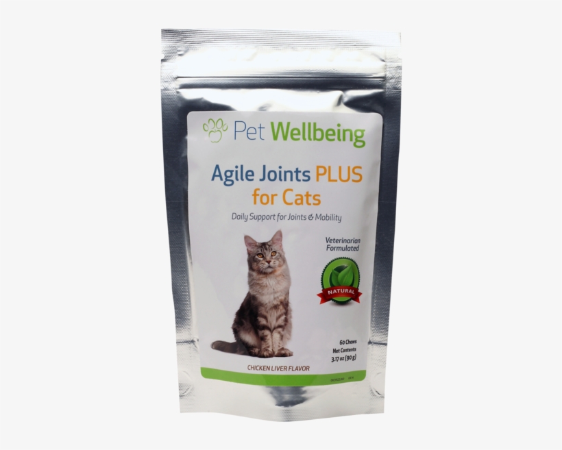 Image - Anatomy And Physiology For Veterinary Technicians And, transparent png #1246263