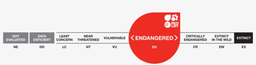 Threat Categories Long Vu 0005 Threat Categories Long - Iucn Red Scale Endangered, transparent png #1247186