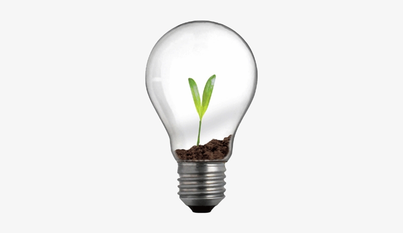 Social Innovation, A Binding Concept - Light Bulb, transparent png #1248299