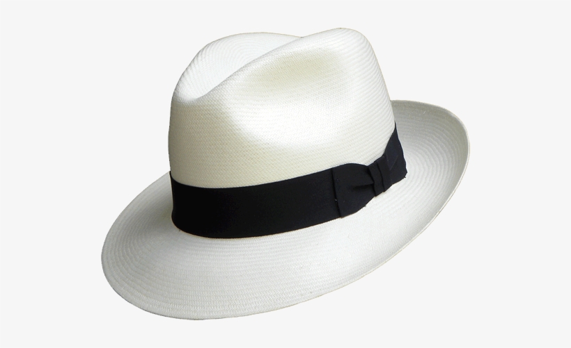 Fedora, transparent png #1250348