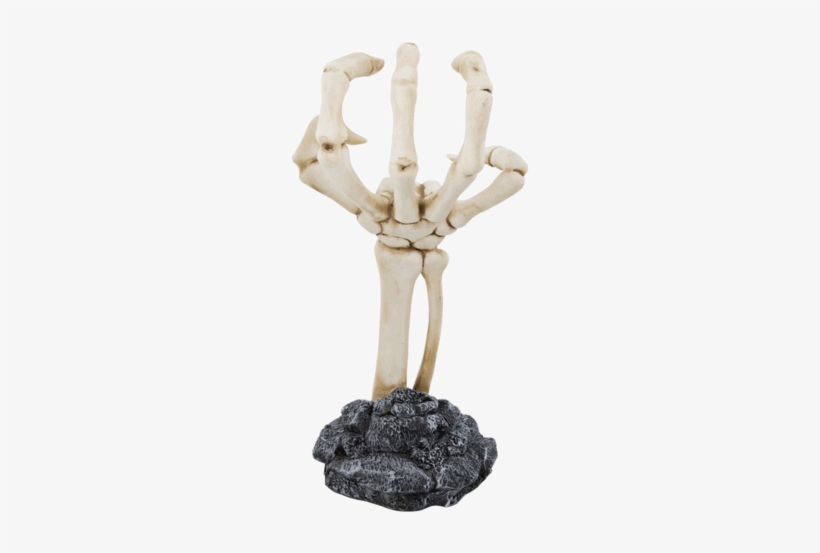 Skeleton Hand Display, transparent png #1250702