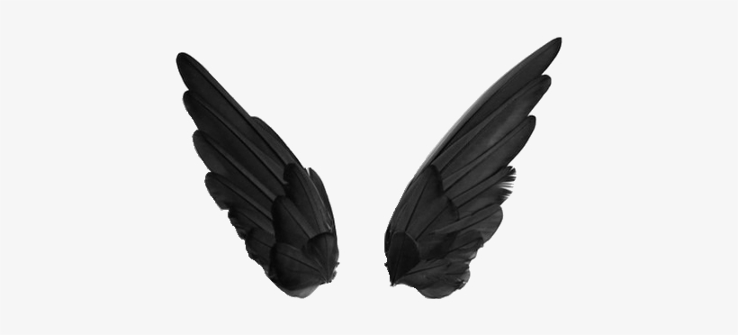 Image Result For Tumblr Transparents Black And White - Png Transparent Wings, transparent png #1250779