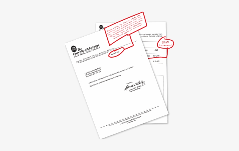 508e73f51b291518715189 Heavy Metal Papers - Heavy Metal Papers, transparent png #1251249