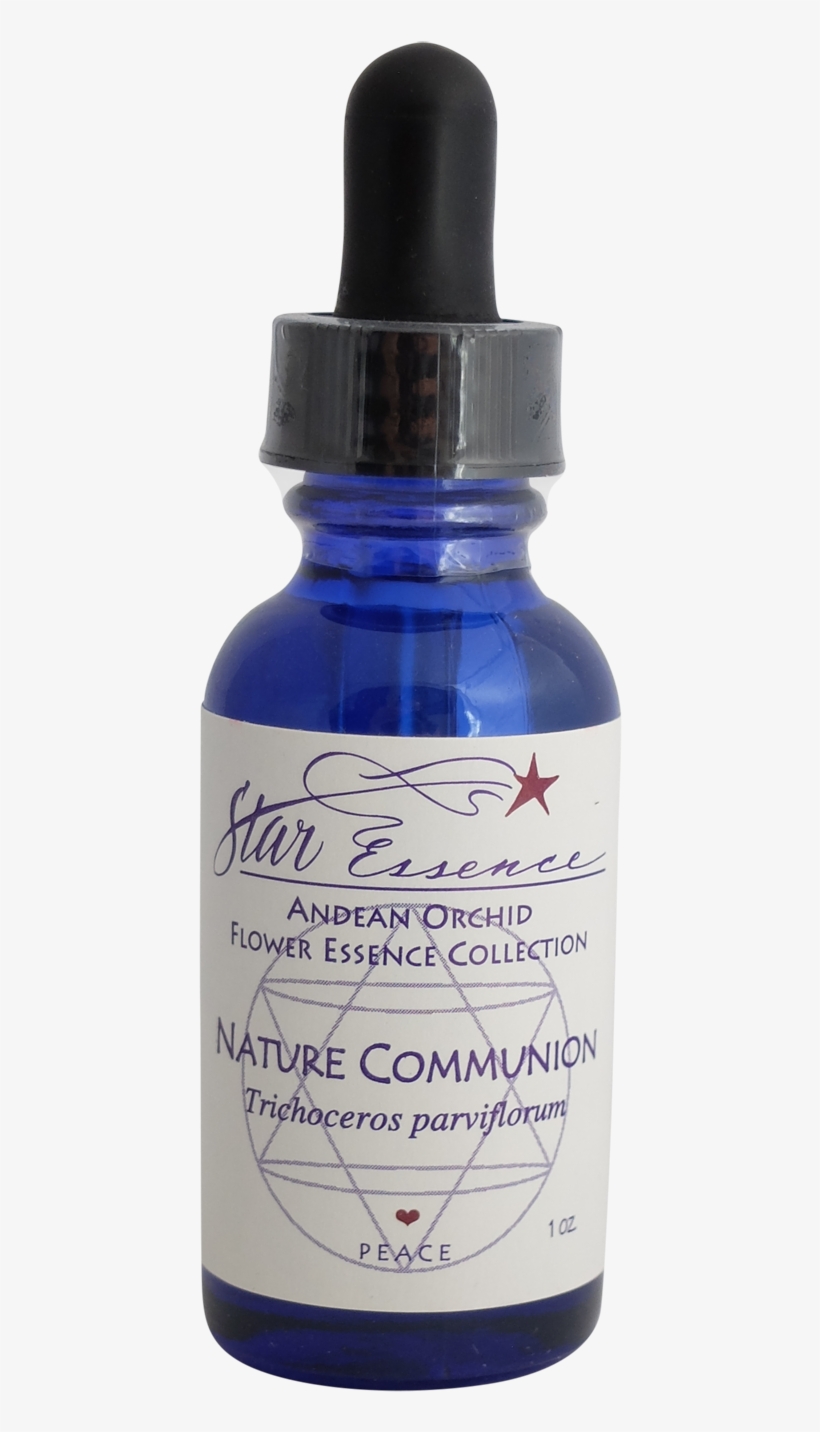 Nature Communion - Serumtologie C Serum 22 Ingredients, transparent png #1251498