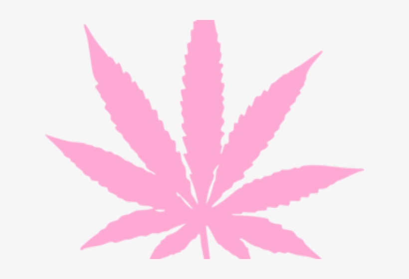 Image Library Stock Weed Free On Dumielauxepices Net - Marijuana Leaf, transparent png #1251893