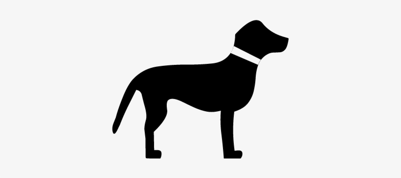 Svg Png - Dog Catches Something, transparent png #1252417