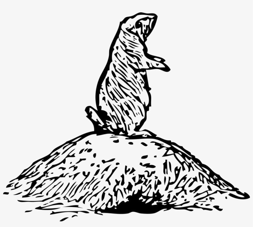 How To Set Use Prairie Dog Icon Png, transparent png #1252614