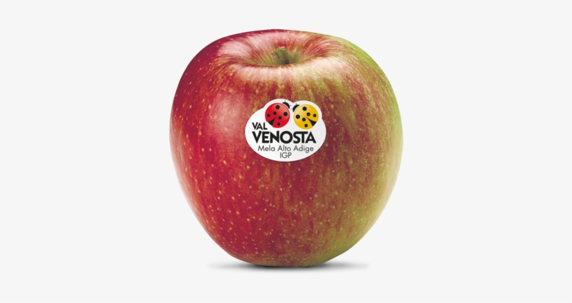 Braeburn Braeburn - Manzana Braeburn, transparent png #1253468