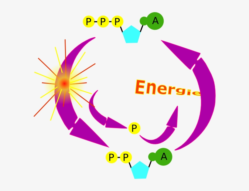 How To Set Use Cycle Clipart, transparent png #1254463
