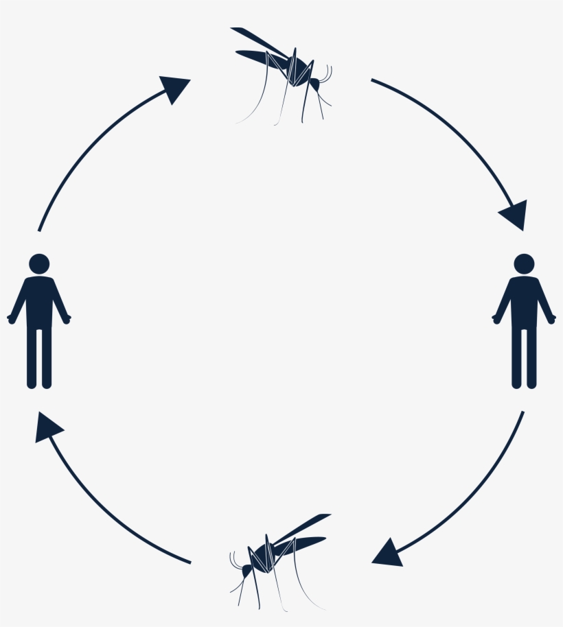 06 Pm 821 Clinical Manifestation - Silhouette, transparent png #1254629