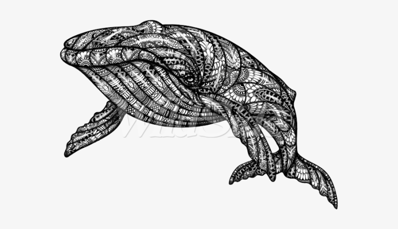 Black & White Whale With Bandana Pattern - Kerchief, transparent png #1256776