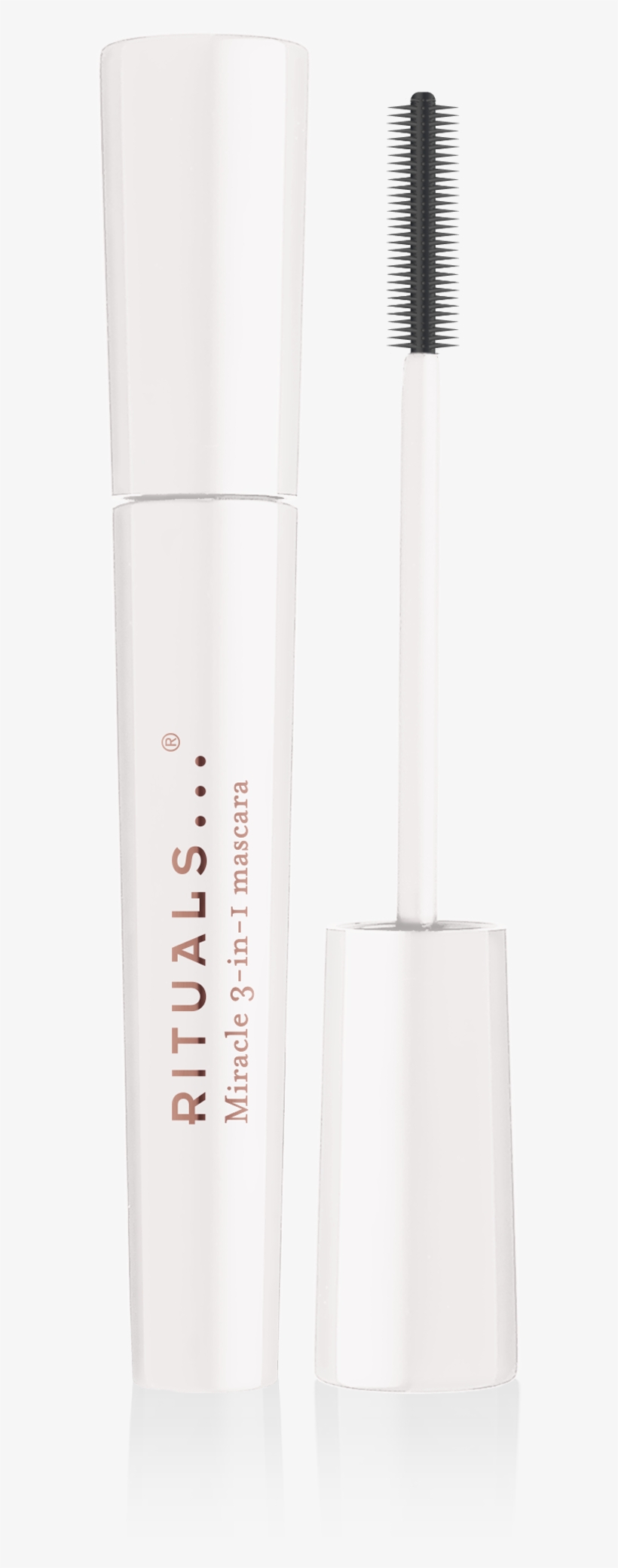 Miracle 3 In 1 Mascara - E.l.f. Studio 3-in-1 Mascara, transparent png #1256846