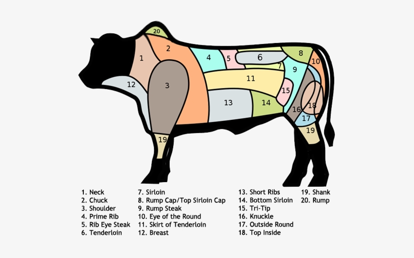 Beef Cuts In Brazil Cortes De Vaca En Brasil Free Transparent PNG Download PNGkey