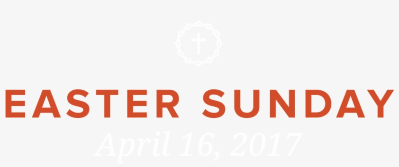 “for As Many As Are Led By The Spirit Of God, These - View Master New, transparent png #1258618