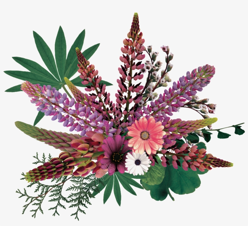 Clip Library Library Painted Vivid Png Free Download - Portable Network Graphics, transparent png #1259643