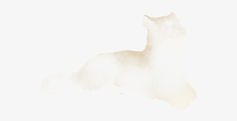 Cat Yawns, transparent png #1260090