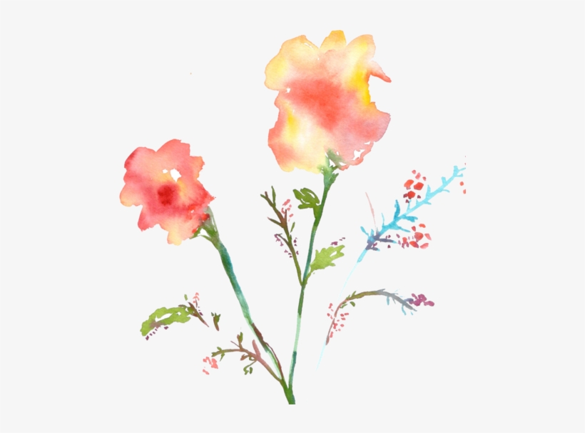 Vanessa - - Painting Flowers On White Or Transparent Backgrounds, transparent png #1260433