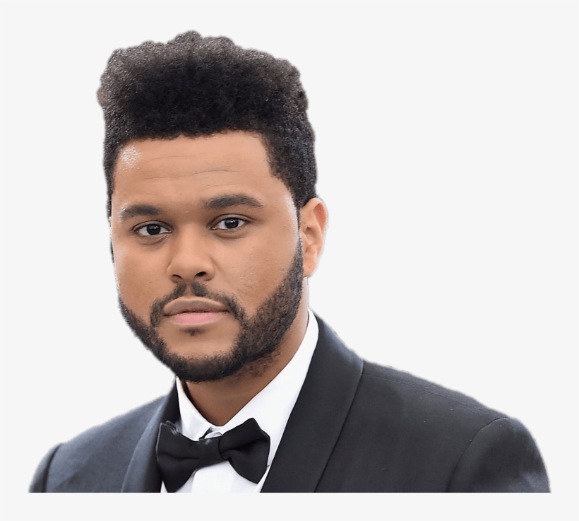 Download - Gestion Immobiliere Sebastien Parent Inc, transparent png #1260561