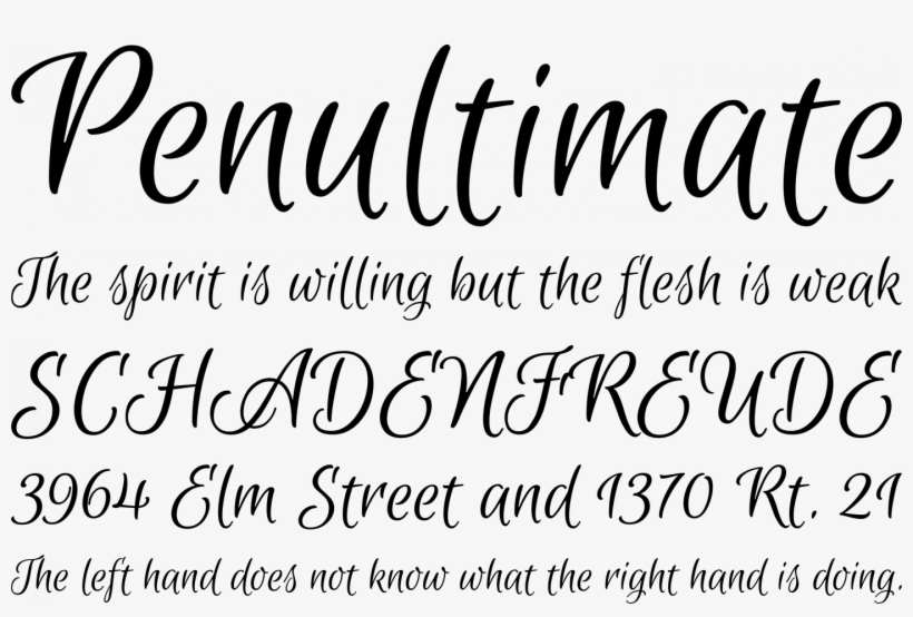 Euphoria Script Font Phrases - Euphoria Script Font, transparent png #1262228