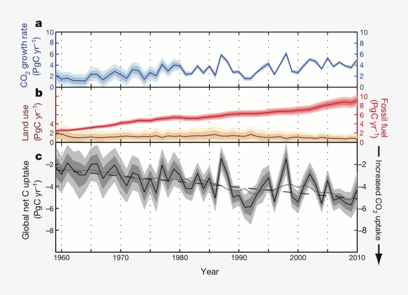 Sinks For Caroline - Stomatal Conductance, transparent png #1263025