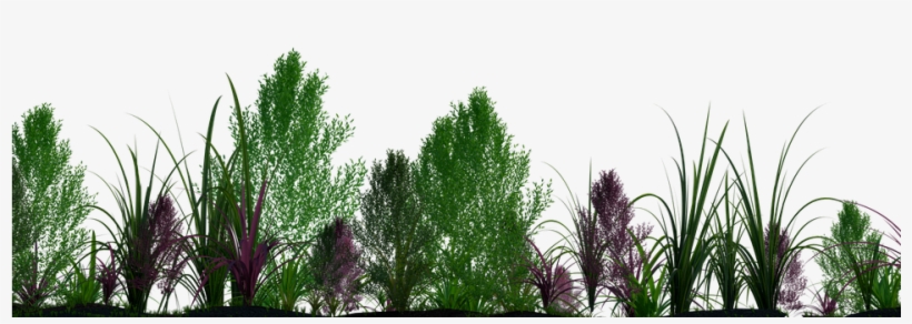 Plants Png - Arboles Y Plantas Png, transparent png #1263496