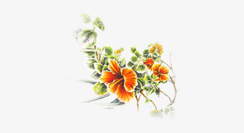 Ink Drawings, Oil Painting And Watercolor On Canvas - Indian Blanket, transparent png #1264157