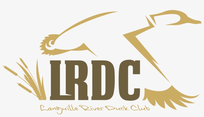 Png Logo Download - Logo, transparent png #1264626